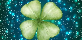 PET GODINA SREĆE: Evo kojim znacima od 2025. do 2030. slede NAJLEPŠE GODINE IKADA! PET GODINA SREĆE: Evo kojim znacima od 2025. do 2030. slede NAJLEPŠE GODINE IKADA! - featured image