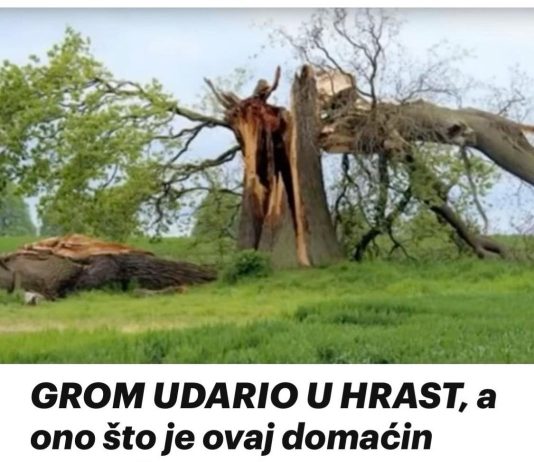 Kako hrast biva pogođen gromom, duboki utjecaj koji ima na život ove osobe za njega postaje transformativno iskustvo. Kako hrast biva pogođen gromom, duboki utjecaj koji ima na život ove osobe za njega postaje transformativno iskustvo. - featured image