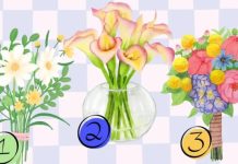 TEST! Tri buketa, tri različita tipa žena: Odaberite najljepši i saznajte šta to govori o vama TEST! Tri buketa, tri različita tipa žena: Odaberite najljepši i saznajte šta to govori o vama - featured image