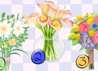 TEST! Tri buketa, tri različita tipa žena: Odaberite najljepši i saznajte šta to govori o vama TEST! Tri buketa, tri različita tipa žena: Odaberite najljepši i saznajte šta to govori o vama - featured image