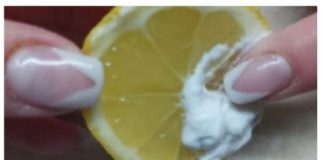 Umrla bih,a ne bih znala: Stavite SO na limun i nikad nećete imati ovaj problem! Umrla bih,a ne bih znala: Stavite SO na limun i nikad nećete imati ovaj problem! - featured image