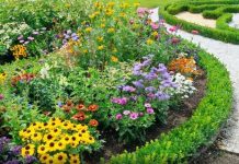 Ako ovo ne uradite u februaru, bašta će vam propasti na proljeće: Stručnjaci upozoravaju Ako ovo ne uradite u februaru, bašta će vam propasti na proljeće: Stručnjaci upozoravaju - featured image