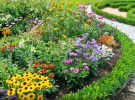 Ako ovo ne uradite u februaru, bašta će vam propasti na proljeće: Stručnjaci upozoravaju Ako ovo ne uradite u februaru, bašta će vam propasti na proljeće: Stručnjaci upozoravaju - featured image