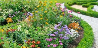 Ako ovo ne uradite u februaru, bašta će vam propasti na proljeće: Stručnjaci upozoravaju Ako ovo ne uradite u februaru, bašta će vam propasti na proljeće: Stručnjaci upozoravaju - featured image