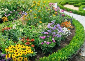 Ako ovo ne uradite u februaru, bašta će vam propasti na proljeće: Stručnjaci upozoravaju Ako ovo ne uradite u februaru, bašta će vam propasti na proljeće: Stručnjaci upozoravaju - featured image