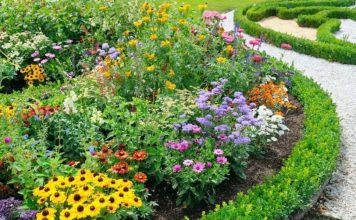 Ako ovo ne uradite u februaru, bašta će vam propasti na proljeće: Stručnjaci upozoravaju Ako ovo ne uradite u februaru, bašta će vam propasti na proljeće: Stručnjaci upozoravaju - featured image