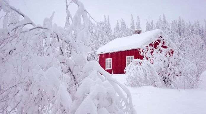U Norveškoj kuće ne izoluju stiroporom, već materijalom koji zadržava toplotu čak i na -30 stepeni U Norveškoj kuće ne izoluju stiroporom, već materijalom koji zadržava toplotu čak i na -30 stepeni - featured image