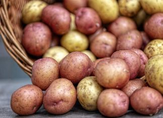 Ovaj stari trik naših baka garantuje rekordni prinos luka i krompira – bez ijedne kapi hemije! Ovaj stari trik naših baka garantuje rekordni prinos luka i krompira – bez ijedne kapi hemije! - featured image