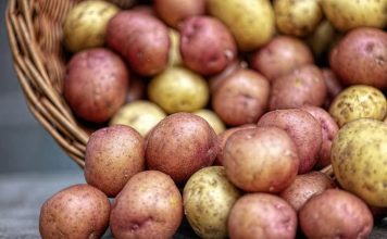 Ovaj stari trik naših baka garantuje rekordni prinos luka i krompira – bez ijedne kapi hemije! Ovaj stari trik naših baka garantuje rekordni prinos luka i krompira – bez ijedne kapi hemije! - featured image