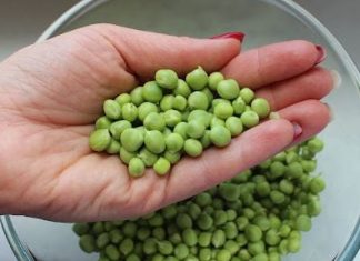 Smrznuti grašak kuhamo pogrešno: Znate li kako to treba raditi, ovako je daleko ukusniji Smrznuti grašak kuhamo pogrešno: Znate li kako to treba raditi, ovako je daleko ukusniji - featured image