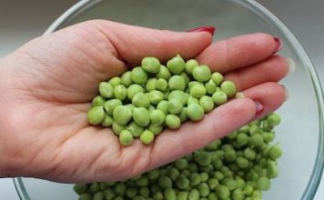 Smrznuti grašak kuhamo pogrešno: Znate li kako to treba raditi, ovako je daleko ukusniji Smrznuti grašak kuhamo pogrešno: Znate li kako to treba raditi, ovako je daleko ukusniji - featured image
