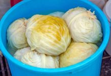 Kiseli kupus je počeo da pjeni? Trajaće vam do ljeta ako dodate samo 1 sastojak Kiseli kupus je počeo da pjeni? Trajaće vam do ljeta ako dodate samo 1 sastojak - featured image