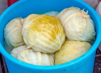 Kiseli kupus je počeo da pjeni? Trajaće vam do ljeta ako dodate samo 1 sastojak Kiseli kupus je počeo da pjeni? Trajaće vam do ljeta ako dodate samo 1 sastojak - featured image