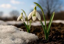 Prvo džemre ‘udara’ u zrak 19. februara: Evo šta to znači Prvo džemre 'udara' u zrak 19. februara: Evo šta to znači - featured image