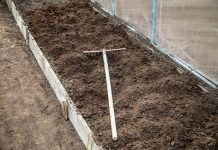 7 vrsta povrća koje se ne đubre nikad: Rastu samo od vode i sunca 7 vrsta povrća koje se ne đubre nikad: Rastu samo od vode i sunca - featured image