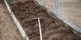 7 vrsta povrća koje se ne đubre nikad: Rastu samo od vode i sunca 7 vrsta povrća koje se ne đubre nikad: Rastu samo od vode i sunca - featured image