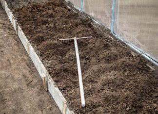 7 vrsta povrća koje se ne đubre nikad: Rastu samo od vode i sunca 7 vrsta povrća koje se ne đubre nikad: Rastu samo od vode i sunca - featured image