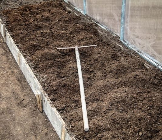 7 vrsta povrća koje se ne đubre nikad: Rastu samo od vode i sunca 7 vrsta povrća koje se ne đubre nikad: Rastu samo od vode i sunca - featured image