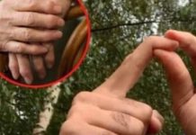 0BL0G K0JI IZVLAČI SAV B0L IZ TIJELA: PR0VJEREN lijek za reumu, išijas, giht i artritis… 0BL0G K0JI IZVLAČI SAV B0L IZ TIJELA: PR0VJEREN lijek za reumu, išijas, giht i artritis… - featured image