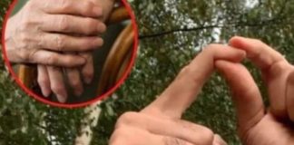 0BL0G K0JI IZVLAČI SAV B0L IZ TIJELA: PR0VJEREN lijek za reumu, išijas, giht i artritis… 0BL0G K0JI IZVLAČI SAV B0L IZ TIJELA: PR0VJEREN lijek za reumu, išijas, giht i artritis… - featured image