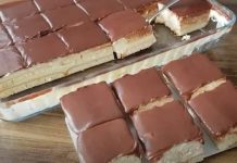 KREM K0CKE BEZ PEČENJA KREM K0CKE BEZ PEČENJA - featured image