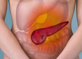 Upala pankreasa može biti opasna ako se ne liječi na vrijeme: OVO SU PRVI SIMPTOMI DA ĆE VAM GUŠTERAČA STRADATI Upala pankreasa može biti opasna ako se ne liječi na vrijeme: OVO SU PRVI SIMPTOMI DA ĆE VAM GUŠTERAČA STRADATI - featured image