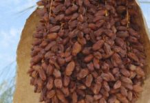 NAJZDRAVIJA NAMIRNICA NA PLANETI: Uspješno snižava krvni pritisak te sprječava srčani i moždani udar ! NAJZDRAVIJA NAMIRNICA NA PLANETI: Uspješno snižava krvni pritisak te sprječava srčani i moždani udar ! - featured image