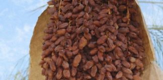 NAJZDRAVIJA NAMIRNICA NA PLANETI: Uspješno snižava krvni pritisak te sprječava srčani i moždani udar ! NAJZDRAVIJA NAMIRNICA NA PLANETI: Uspješno snižava krvni pritisak te sprječava srčani i moždani udar ! - featured image