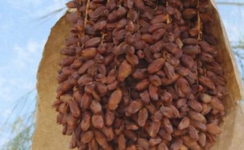 NAJZDRAVIJA NAMIRNICA NA PLANETI: Uspješno snižava krvni pritisak te sprječava srčani i moždani udar ! NAJZDRAVIJA NAMIRNICA NA PLANETI: Uspješno snižava krvni pritisak te sprječava srčani i moždani udar ! - featured image