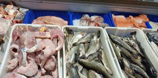 Najgora vrsta ribe: Razara srce i diže holesterol, a svi je rado kupuju Najgora vrsta ribe: Razara srce i diže holesterol, a svi je rado kupuju - featured image