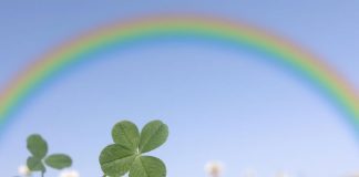 3 horoskopska znaka kojima za vikend stižu dobre vijesti 3 horoskopska znaka kojima za vikend stižu dobre vijesti - featured image