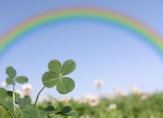 3 horoskopska znaka kojima za vikend stižu dobre vijesti 3 horoskopska znaka kojima za vikend stižu dobre vijesti - featured image