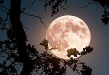 4 znaka kojima se život iz korijena mijenja 25. marta: Stiže sreća kakvu ne pamte 4 znaka kojima se život iz korijena mijenja 25. marta: Stiže sreća kakvu ne pamte - featured image