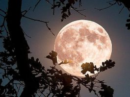 4 znaka kojima se život iz korijena mijenja 25. marta: Stiže sreća kakvu ne pamte 4 znaka kojima se život iz korijena mijenja 25. marta: Stiže sreća kakvu ne pamte - featured image