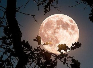 4 znaka kojima se život iz korijena mijenja 25. marta: Stiže sreća kakvu ne pamte 4 znaka kojima se život iz korijena mijenja 25. marta: Stiže sreća kakvu ne pamte - featured image