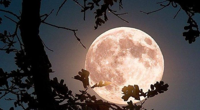 4 znaka kojima se život iz korijena mijenja 25. marta: Stiže sreća kakvu ne pamte 4 znaka kojima se život iz korijena mijenja 25. marta: Stiže sreća kakvu ne pamte - featured image