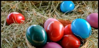 Bez sirćeta, skupe farbe i pucanja: Uz 1 stvar iz špajza jaja će biti jarka kao sa slike Bez sirćeta, skupe farbe i pucanja: Uz 1 stvar iz špajza jaja će biti jarka kao sa slike - featured image