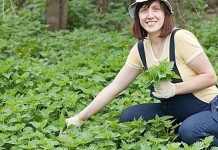 OVO JE DAR OD BOGA: Sprječava Rak, Umanjuje Prostatu, A Liječi Čak I Dijabetes OVO JE DAR OD BOGA: Sprječava Rak, Umanjuje Prostatu, A Liječi Čak I Dijabetes - featured image