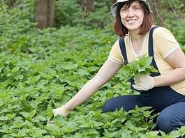 OVO JE DAR OD BOGA: Sprječava Rak, Umanjuje Prostatu, A Liječi Čak I Dijabetes OVO JE DAR OD BOGA: Sprječava Rak, Umanjuje Prostatu, A Liječi Čak I Dijabetes - featured image