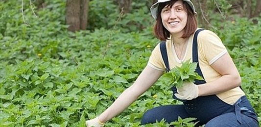 OVO JE DAR OD BOGA: Sprječava Rak, Umanjuje Prostatu, A Liječi Čak I Dijabetes OVO JE DAR OD BOGA: Sprječava Rak, Umanjuje Prostatu, A Liječi Čak I Dijabetes - featured image