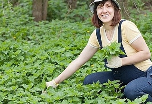 OVO JE DAR OD BOGA: Sprječava Rak, Umanjuje Prostatu, A Liječi Čak I Dijabetes OVO JE DAR OD BOGA: Sprječava Rak, Umanjuje Prostatu, A Liječi Čak I Dijabetes - featured image