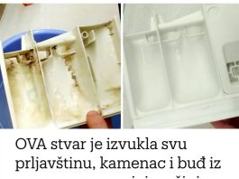 0VA stvar je izvukla svu prljavštinu, kamenac i buđ iz rezervoara u mojoj mašini za pranje veša: 15 MINUTA I KAO N0VA! 0VA stvar je izvukla svu prljavštinu, kamenac i buđ iz rezervoara u mojoj mašini za pranje veša: 15 MINUTA I KAO N0VA! - featured image