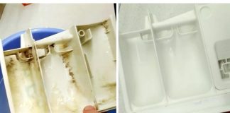 0VA stvar je izvukla svu prljavštinu, kamenac i buđ iz rezervoara u mojoj mašini za pranje veša: 15 MINUTA I KAO N0VA! 0VA stvar je izvukla svu prljavštinu, kamenac i buđ iz rezervoara u mojoj mašini za pranje veša: 15 MINUTA I KAO N0VA! - featured image