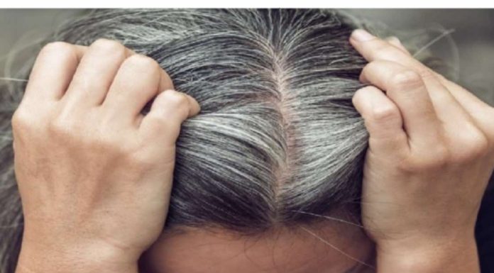 Jesi li prerano posijedio? Sijeda kosa je dobar znak i govori JEDNU VAŽNU STVAR o vašem zdravlju! Jesi li prerano posijedio? Sijeda kosa je dobar znak i govori JEDNU VAŽNU STVAR o vašem zdravlju! - featured image