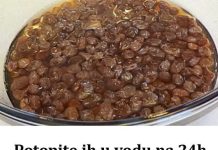 Potopite ih u vodu na 24h,popite i doživite potpuni preporod organizma(RECEPT) Potopite ih u vodu na 24h,popite i doživite potpuni preporod organizma(RECEPT) - featured image