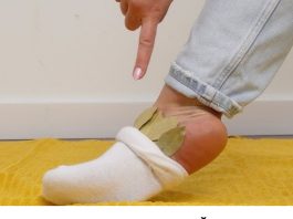 Stavite list lovora u čarapu: Prirodni lijek koji ublažava bolove tokom noći Stavite list lovora u čarapu: Prirodni lijek koji ublažava bolove tokom noći - featured image