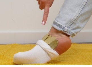 Stavite list lovora u čarapu: Prirodni lijek koji ublažava bolove tokom noći Stavite list lovora u čarapu: Prirodni lijek koji ublažava bolove tokom noći - featured image