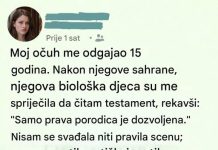 Lekcija o porodici, pravdi i dostojanstvu Lekcija o porodici, pravdi i dostojanstvu - featured image