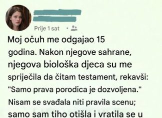 Lekcija o porodici, pravdi i dostojanstvu Lekcija o porodici, pravdi i dostojanstvu - featured image