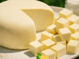 Potrebno je 1 litar mleka, 1 jogurt i pola limuna – i dobićete najbolji domaći sir! Potrebno je 1 litar mleka, 1 jogurt i pola limuna – i dobićete najbolji domaći sir! - featured image